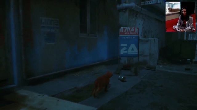 Проходим с котом игру про кота STRAY | часть 1