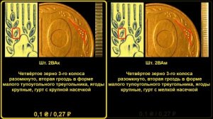 Редкие монеты Украины: 10 копеек 1994 - цена 2 000 гривен / 5 300 рублей!