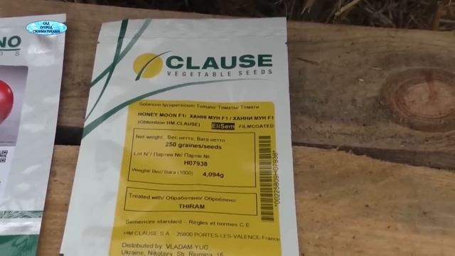 ТОП-5 розовых высокорослых! Самые вкусные и урожайные розовые томаты. смотреть онлайн