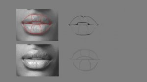 How to draw lips | Ibis paint x tutorials [ Beginner ]