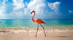 Самые интересные страны мира