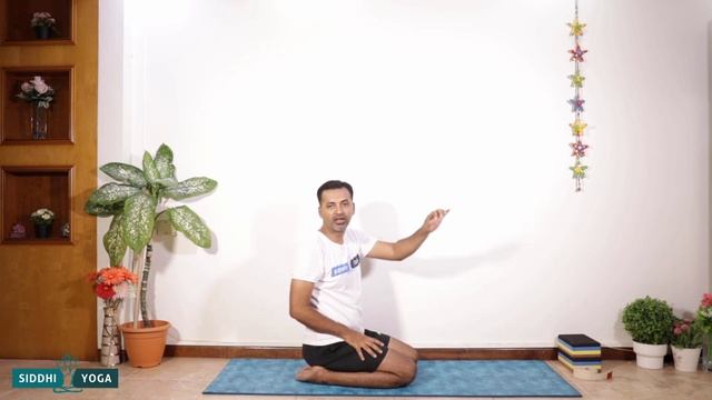Phalakasana (Plank Pose) Benefits, How to Do & Contraindications by Yogi Sandeep - Siddhi Yoga смотреть онлайн