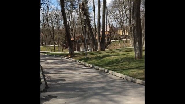 Поселение Первомайское смотреть онлайн