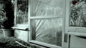 Аdvertising Реклама Китикет Kitekat Борис поймал пчелу In Pitch Black
