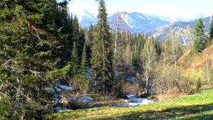 Заповедники Казахстана. Западный Алтай