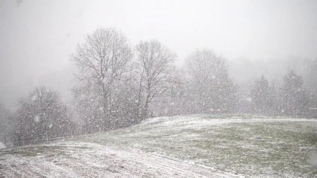 Relaxing Snowfall 4 Hours - Sound of Light Wind Breeze and Falling Snow in Forest смотреть онлайн