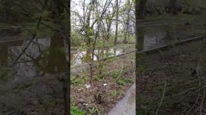 Авиагородок. Город Батайск. 14.04.2019 год