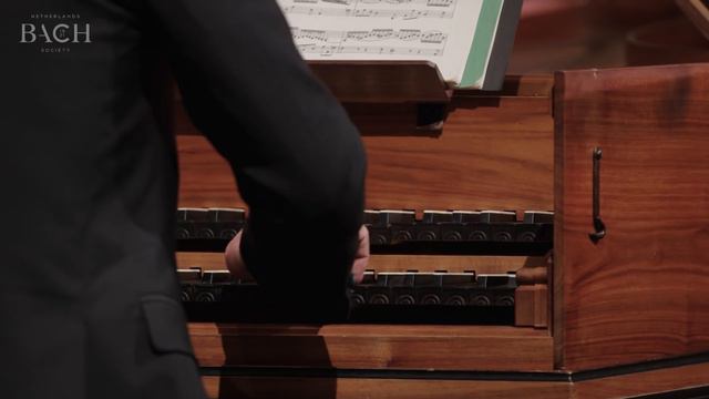 Bach - Harpsichord concerto in A major BWV 1055 - Corti | Netherlands Bach Society смотреть онлайн