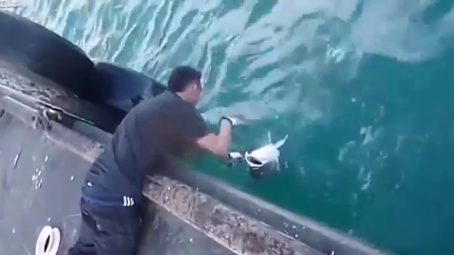 Рыбалка на пристани руками  