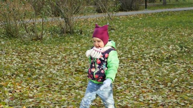 Осень, осень, золотой листопад... смотреть онлайн