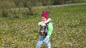 Осень, осень, золотой листопад...