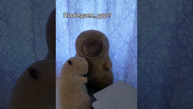 Годовщина знакомства Стеши и Миши