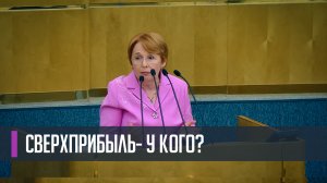 Оксана Дмитриева выступила в Государственной Думе по налогу на сверхприбыль.