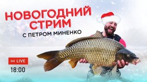 Новогодний стрим с Петром Миненко - Live в 18:00