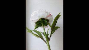 Пион. Часть 4. Сборка ветки. Холодный фарфор.