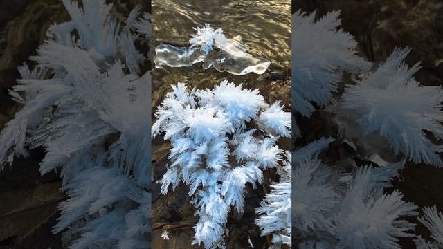 С ПРАЗДНИКОМ☀️КРЕЩЕНИЯ?МИРА?ДОБРА?ЛЮБВИ❤️