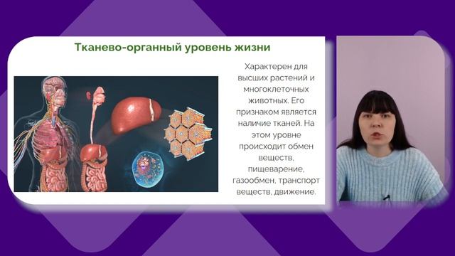 Уровни организации и структура жизни на Земле | Естествознание | 10 класс | Онлайн-школа Синергия смотреть онлайн