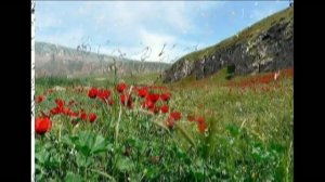 06 Написала девушка бойцу