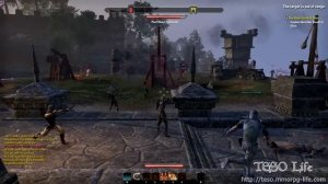 Massive Elder Scrolls Online PvP battle