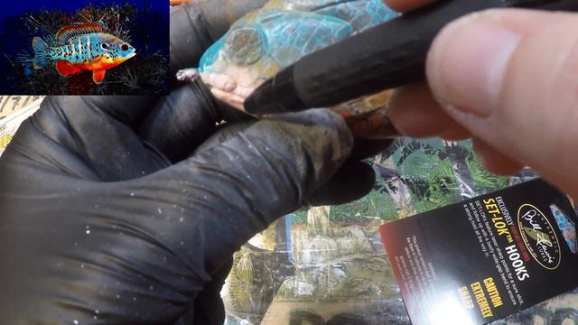 NEW SPRAY SESSION! The Orange Spotted Sunfish смотреть онлайн