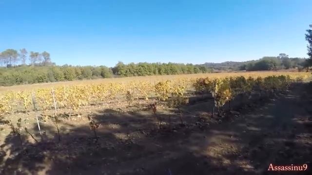 нарезка удачной охоты на кабана смотреть онлайн