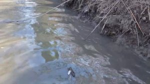 Крутой Улов на Обмелевшей Речке?Рыбалка в Дагестане?