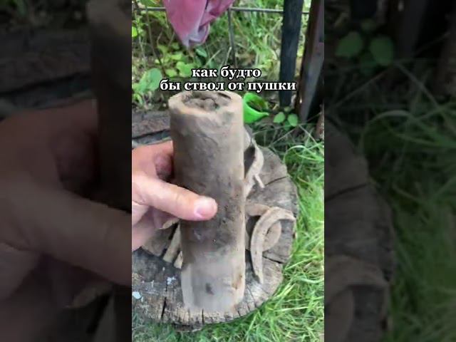 находки на металлоискатель за два часа копа на сельском огороде