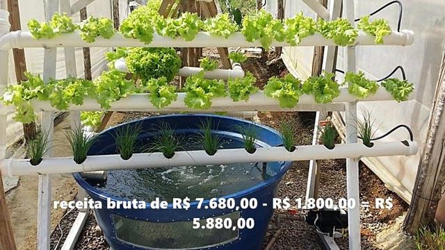 TOP 7 CRIAÇÕES mais LUCRATIVAS da ROÇA. Invista de olhos fechados! смотреть онлайн