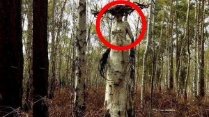 Нелёгкая жизнь ведьм...