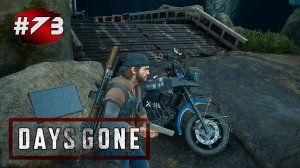 DAYS GONE (Жизнь После) ➤ Прохождение # 73 ➤ Объекты Неро|Орды