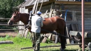 Сернур. В деревне Юшто Памаш