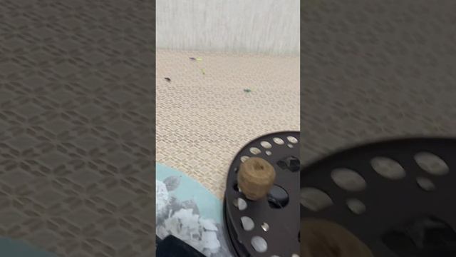 Удочка на Омуля смотреть онлайн