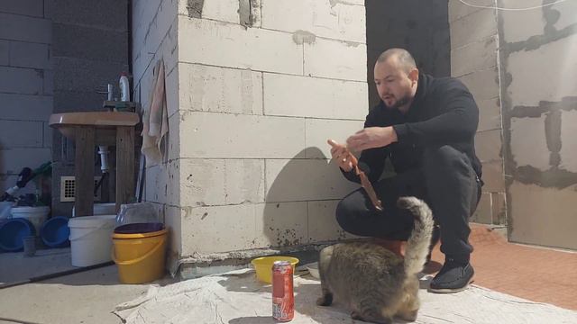 ЗИМНИЕ БУДНИ ФЕРМЕРА