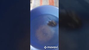 ЛайфХак/Как сделать солевые повязки.