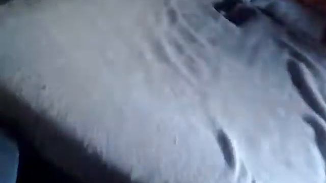 Unboxing Ibanez AF55 hollow body (veľa muziky,za málo peňazí 😀😀😀 смотреть онлайн