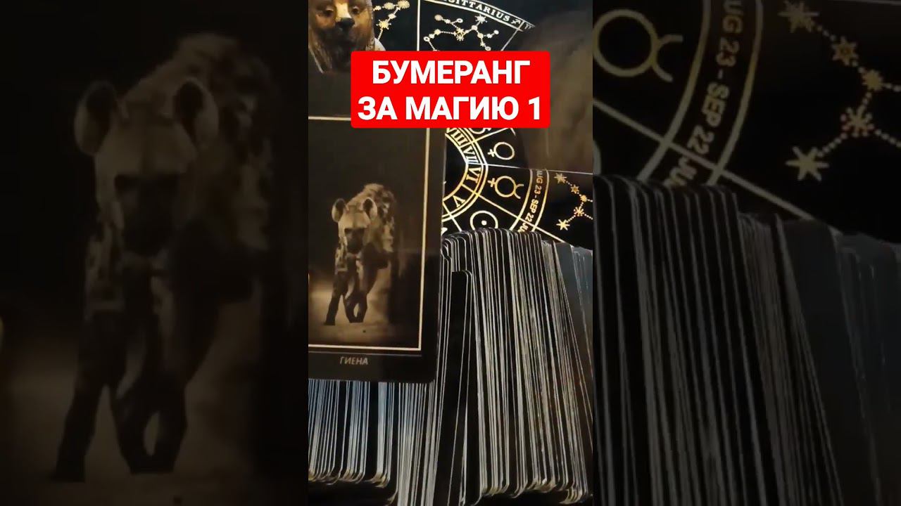 #бумеранг #бумерангврагу #бумерангврагутаро #бумерангтаро #shots #shortvideo #shorts #shortsvideo