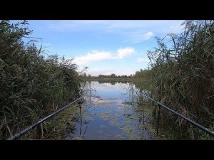 Ловим карасиков на удочку, вечерняя рыбалка
