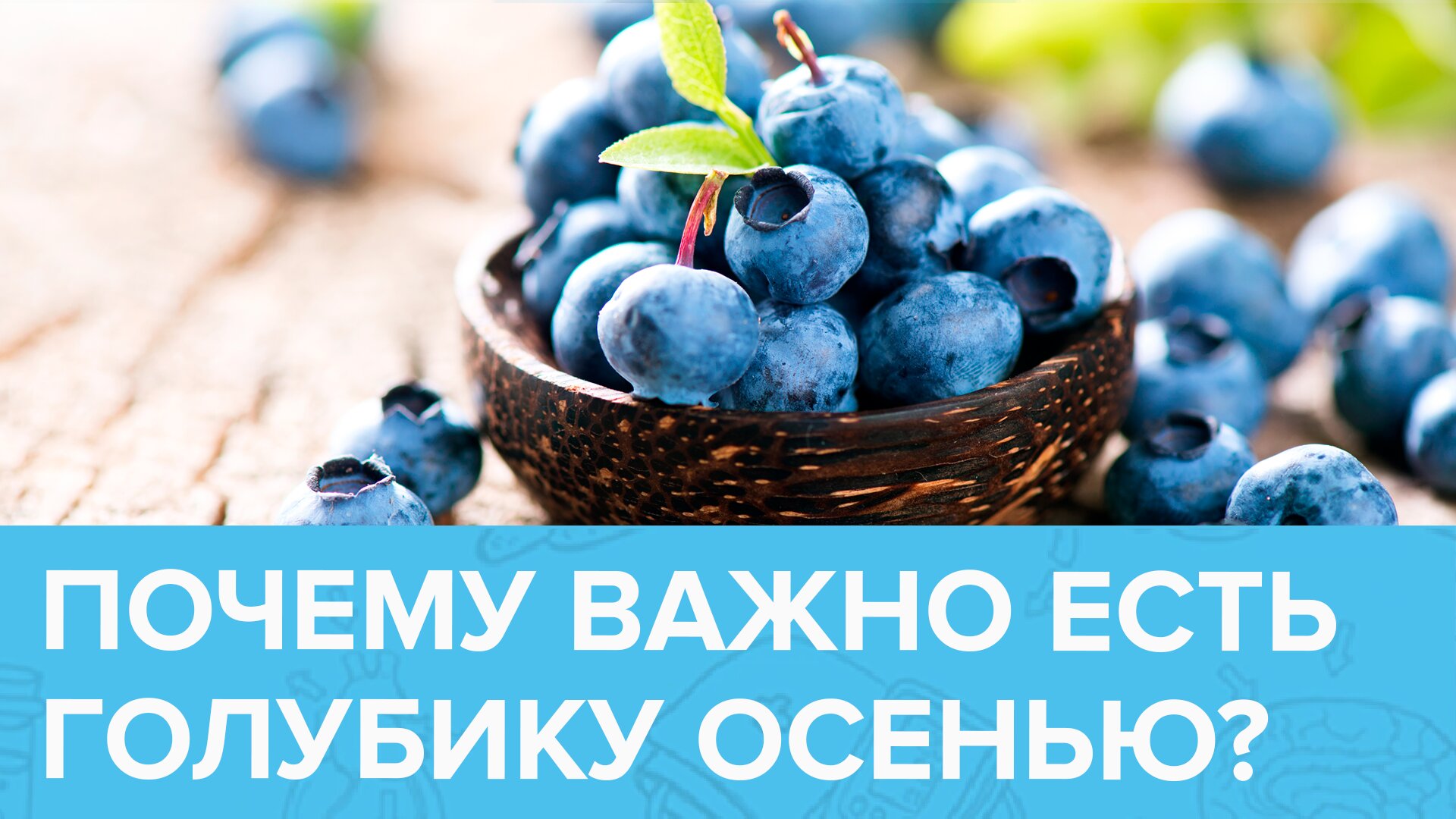 СЕРИАЛ: ОСЕННИЕ ЯГОДЫ ЗДОРОВЬЯ. ГОЛУБИКА | Доктор 24