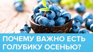 СЕРИАЛ: ОСЕННИЕ ЯГОДЫ ЗДОРОВЬЯ. ГОЛУБИКА | Доктор 24