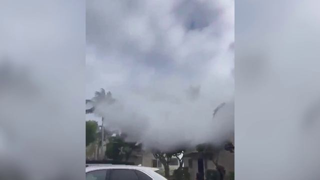 Многометровые волны обрушились на Гавайи