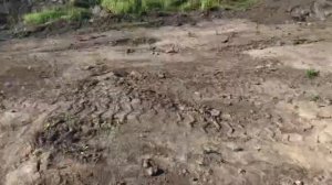 ШУРФ ДЕРЕВНИ ,Томская область!!!search for gold and coins