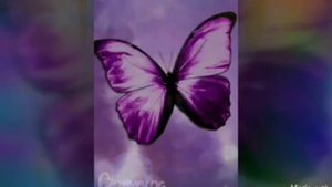 Какая ты песня по знаку зодиака