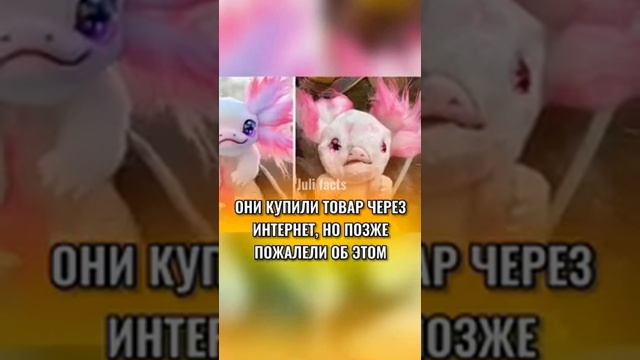 Факты Про Корейские Школы, Которые Шокируют смотреть онлайн
