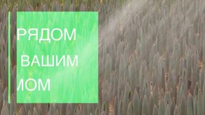 Семейное тепличное хозяйство "Дарю весну"