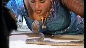 Женщина и змея