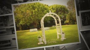 Weddings in the Grove 2016