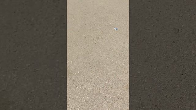 в Балаково смотреть онлайн