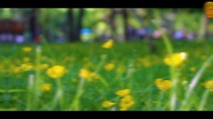 МОЖНО ЛИ ЖЕНИТЬСЯ В РАМАДАН. ШЕЙХ ЧУБАК АЖЫ ЖАЛИЛОВ | ЛЕКЦИЯ НА РУССКОМ