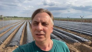 Формирование гряд для клубники