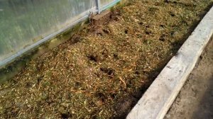 Подготовка теплицы к зиме